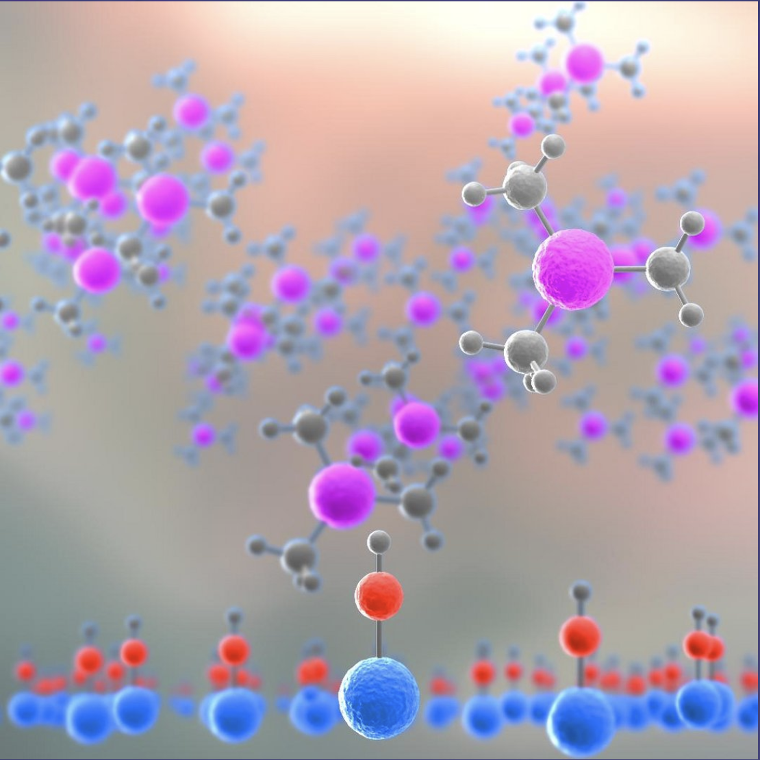 Molecules interacting with a material surface